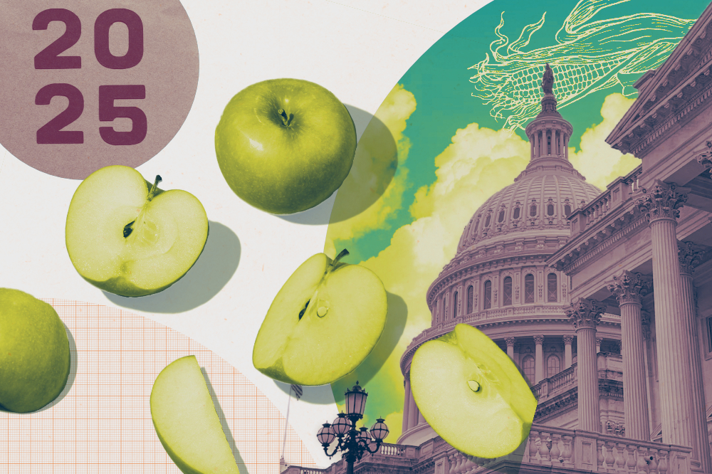 Featured image for “Gen Z Advocates for Food-Secure Future at Washington Summit”